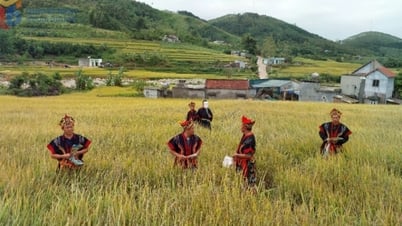 Quảng Ninh có thêm 4 di sản văn hóa phi vật thể quốc gia