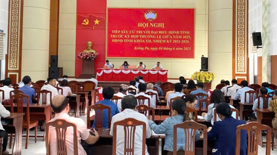 Đại biểu Hội đồng nhân dân tỉnh Gia Lai tiếp xúc cử tri huyện Krông Pa
