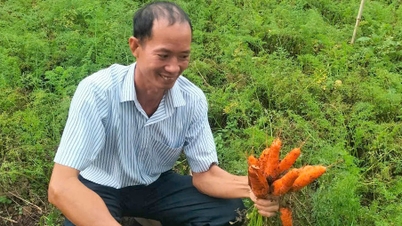 Espacio para el desarrollo de la cadena en Huy Ngoc VN