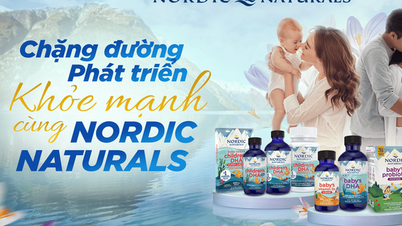 Khám phá Nordic Naturals - Hành trình Omega-3 từ biển khơi đến thương hiệu bán chạy nhất tại Hoa Kỳ