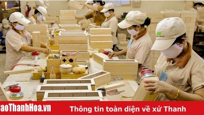 Mỹ điều tra gỗ dán Việt Nam, hơn 130 doanh nghiệp đối mặt nguy cơ áp thuế