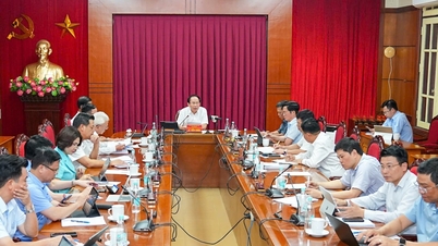 Đảm bảo vận hành hệ thống thông tin sau hợp nhất thành phố Hải Phòng và tỉnh Hải Dương