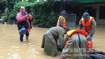 เส้นทางอาชีพ