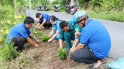 Stadt Binh Phu: Freiwillige Jugendliche schützen die Umwelt