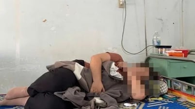 トゥイホア県フーイエン郡における食中毒事件の発生源の追跡を求める要請