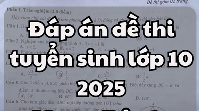 Đáp án đề thi tuyển sinh lớp 10 môn Toán tỉnh Nam Định 2025