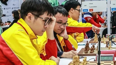 Các đại kiện tướng quốc tế Quang Liêm, Tuấn Minh và Thảo Nguyên giành suất dự World Cup 2025