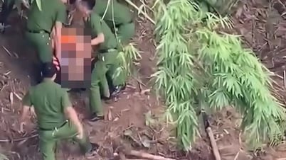 Kịp thời cứu một phụ nữ nhảy cầu ở Hữu Lũng