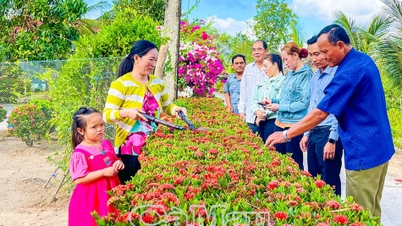 Ðịnh Bình về đích xã nông thôn mới nâng cao