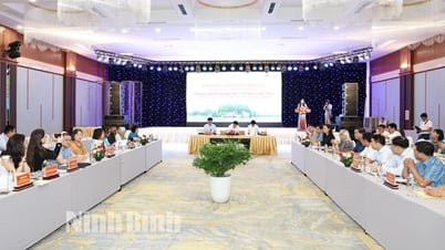 Hội thảo khoa học quốc tế “Văn khắc Hán Nôm núi Non Nước-Tiềm năng di sản tư liệu”