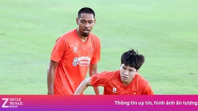Neue Berechnung für Pendant Quang Vinh und Van Vi