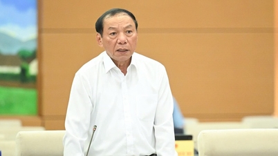 국회 상임위원회는 광고법 일부 조항을 개정·보완하는 법률안을 접수, 설명, 개정하는 의견을 제시합니다.