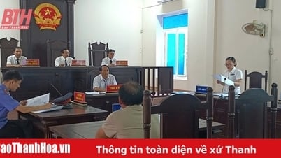 Юридическая помощь на ранних стадиях дела: «ключ» к защите прав обездоленных