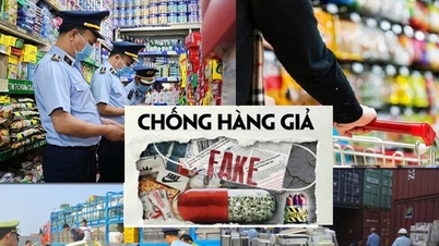 Không tiếp tay cho hàng giả