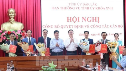 Se anuncia la decisión sobre el trabajo del personal en las dos provincias de Binh Dinh y Dak Lak