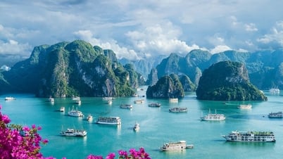 Periódico británico elogia los 8 destinos más maravillosos de Vietnam