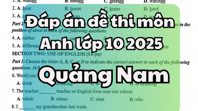 Đáp án đề thi tuyển sinh lớp 10 môn Tiếng Anh tỉnh Quảng Nam 2025