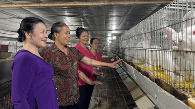 Gắn kết liên thế hệ
