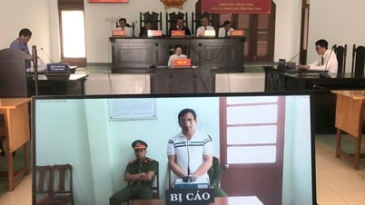 ИЗЪЯТИЕ АКТИВОВ С ИСПОЛЬЗОВАНИЕМ ПОДДЕЛЬНЫХ КРАСНЫХ КНИГ: старые уловки, новые жертвы