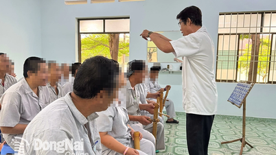 Vorschlag für drei Standorte zur Verlegung des Zentralen Psychiatrischen Krankenhauses 2 und des Zentralinstituts für Forensische Psychiatrie Bien Hoa