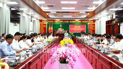 Thường trực Tỉnh ủy nghe báo cáo công tác dự kiến sắp xếp bố trí CBCCVC các xã, phường mới sau sáp nhập