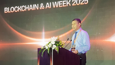 Da Nang strebt danach, ein Zentrum für digitale Technologie zu werden