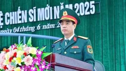 Đại tá Đinh Bạt Văn được bổ nhiệm giữ chức Chỉ huy trưởng Bộ Chỉ huy Quân sự tỉnh Nghệ An