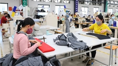Mejorar el índice de dinamismo del Gobierno