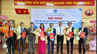 តែងតាំងលោក Dang Hong Tuan ជានាយកផ្នែកធានារ៉ាប់រងសង្គម XXV