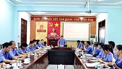 Quy chế mới về tổ chức, hoạt động của Thanh tra VKSND tối cao