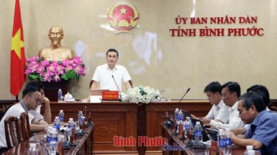 Binh Phuoc y Dak Nong aceleran el avance de la autopista Gia Nghia - Chon Thanh