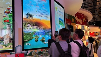EXPO 2025の「クアンニンウィーク」に数万人が参加
