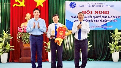 Điều động, bổ nhiệm ông Vũ Mạnh Chữ giữ chức Giám đốc BHXH khu vực XXIII