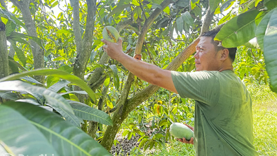 ประเด็นร้อนแรงราคาผลผลิตทางการเกษตรและวัตถุดิบทางการเกษตร