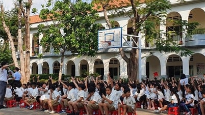 Hôm nay TP.HCM công bố kết quả tuyển sinh đầu cấp các chương trình đặc thù