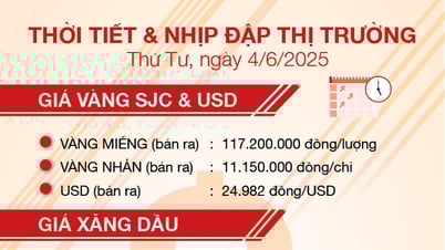 Thời tiết & nhịp đập thị trường 4/6