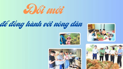 Đổi mới để đồng hành với nông dân