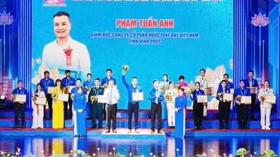 Pham Tuan Anh - យុវជនកម្រិតខ្ពស់ជាតិឆ្នាំ 2025