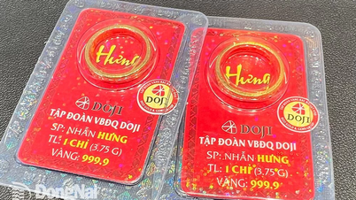 Giá vàng miếng giảm 800 ngàn đồng/lượng, về mức hơn 117 triệu đồng/lượng