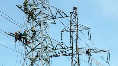 Nécessité d'un cadre juridique global pour la transition énergétique