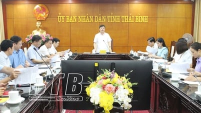 ទាញ​យក​ធនធាន​ឱ្យ​បាន​ល្អ​ដើម្បី​វិនិយោគ​ក្នុង​ការ​អភិវឌ្ឍ​វិស័យ​កីឡា​ដែល​មាន​សមត្ថភាព​ខ្ពស់​ក្នុង​ខេត្ត។