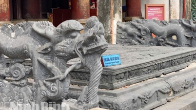 Ninh Binh: Strengthening the promotion of the value of national treasures
