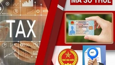 Từ ngày 1/7/2025, sử dụng số định danh cá nhân thay cho mã số thuế