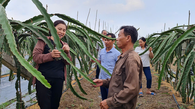 Bắc Giang: Xây dựng gần 14,9 nghìn mô hình, điển hình dân vận khéo
