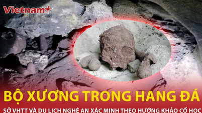 Latest information on the discovery of many skeletons in a cave in Nghe An