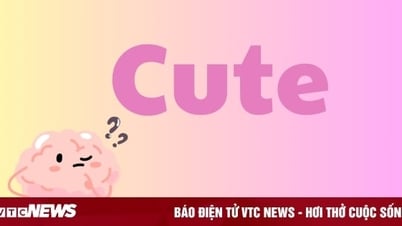 Hầu hết mọi người đều hiểu sai từ 'Cute'