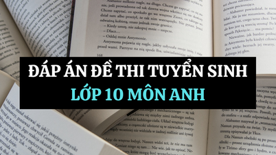 Đáp án đề thi tuyển sinh lớp 10 môn Anh tỉnh Khánh Hòa 2025