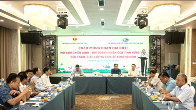 La Asociación de Veteranos de Guerra y la Asociación de Empresarios de Veteranos de Guerra de las provincias de Thai Binh y Hung Yen intercambian experiencias
