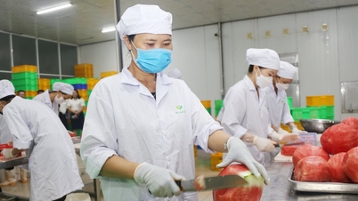 Gần 80% doanh nghiệp tư nhân Đắk Nông chưa vay được vốn từ ngân hàng