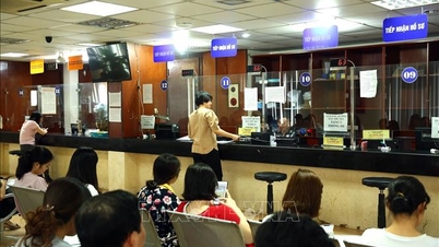 Az újonnan alapított vállalkozások és a jegyzett tőke jelentősen megnőtt